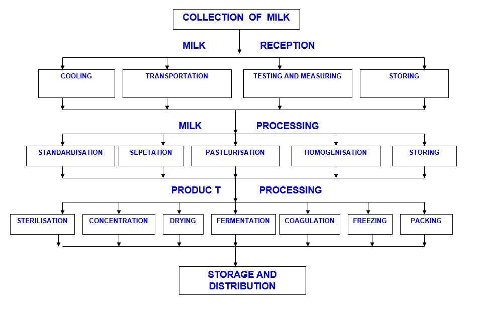 Dr. J V Parekh – Dairy Consultant in India » Milk Flow from Producers